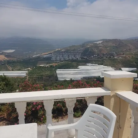 Goldbau2 فيلة *