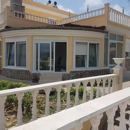 فيلة Goldbau2