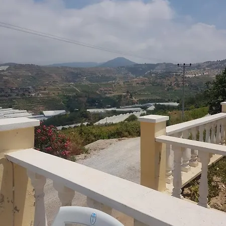 Goldbau2 فيلة *