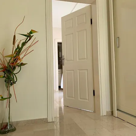 فيلة Goldbau2