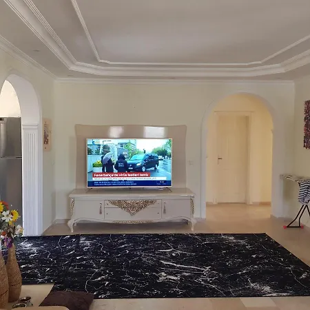 Goldbau2 فيلة